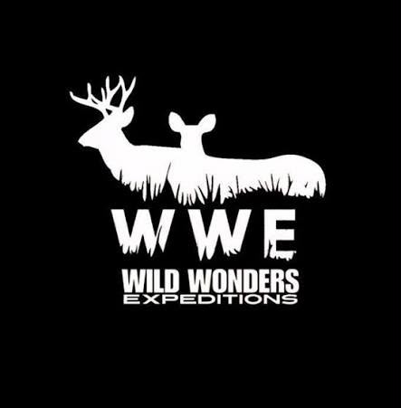 WWF India Logo