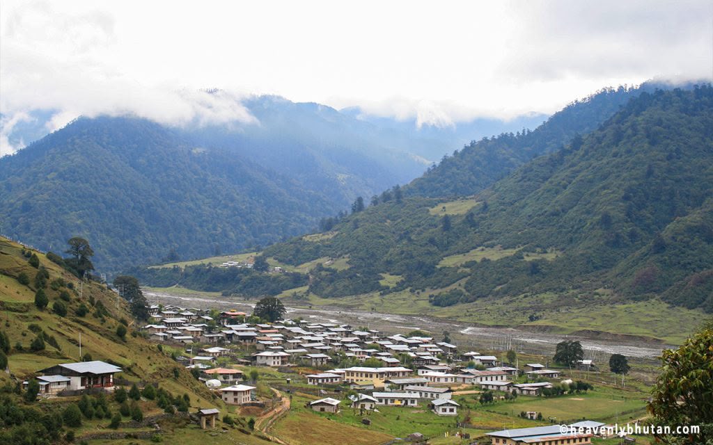 Farm